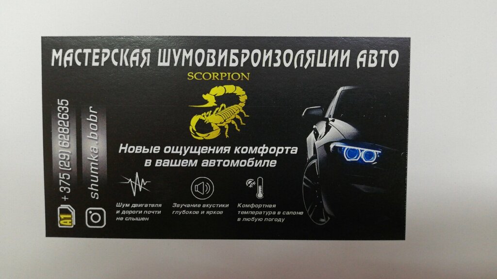 Auto acoustics Scorpion, Bobruisk, photo