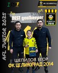 Dufa Tselinograd (Konstıtýsıa kóshesi, 3) ، نادي رياضي، مجموعة