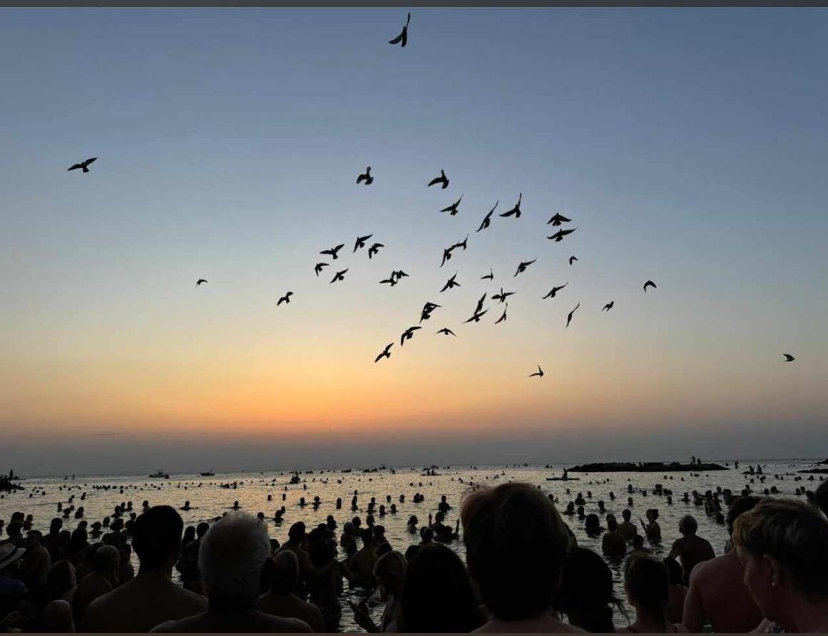 Фото Guest House 38 Monopoli