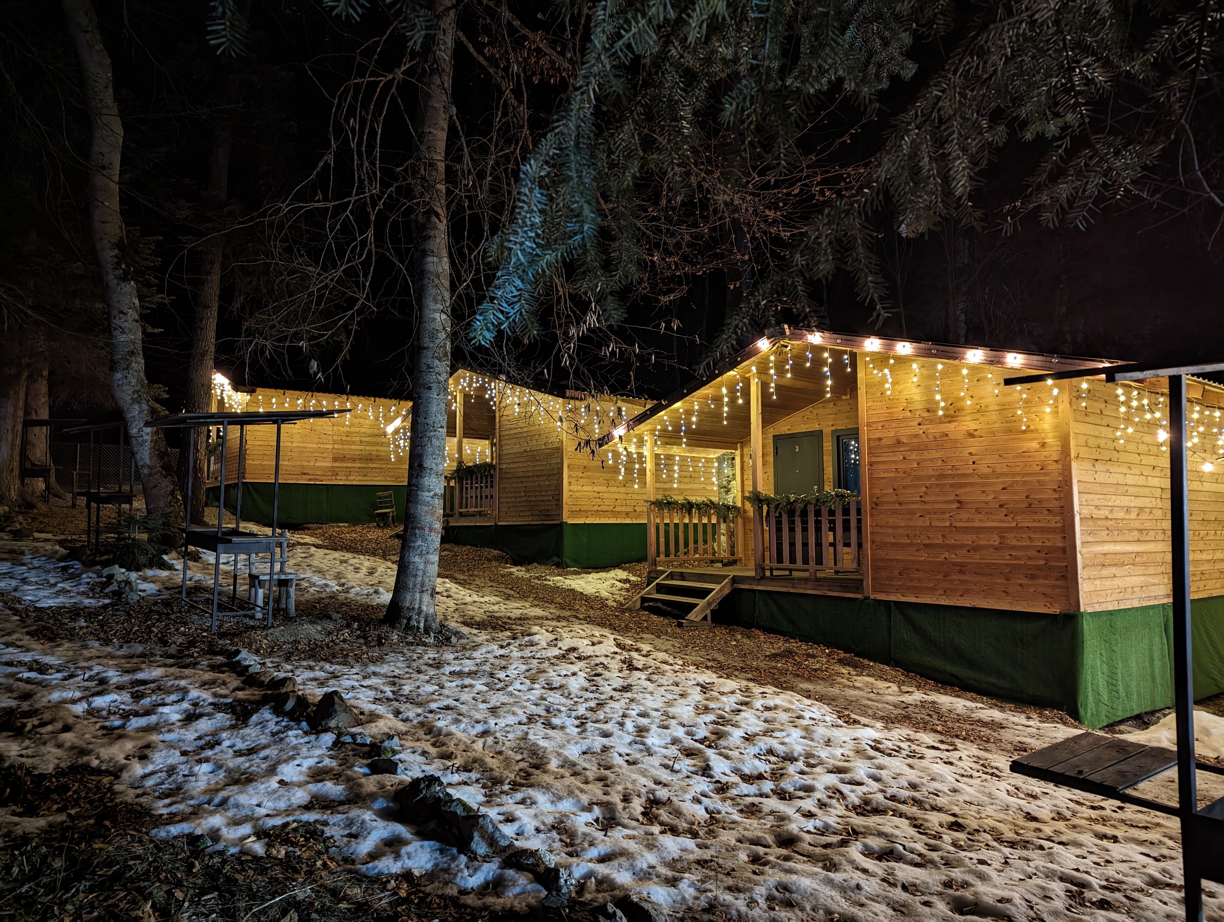 Фото Горная Мята