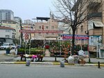 Eyup Sultan Nursery (Istanbul, Eyupsultan, Dugmeciler Neighborhood, Sofular Bostani Street), landscape design