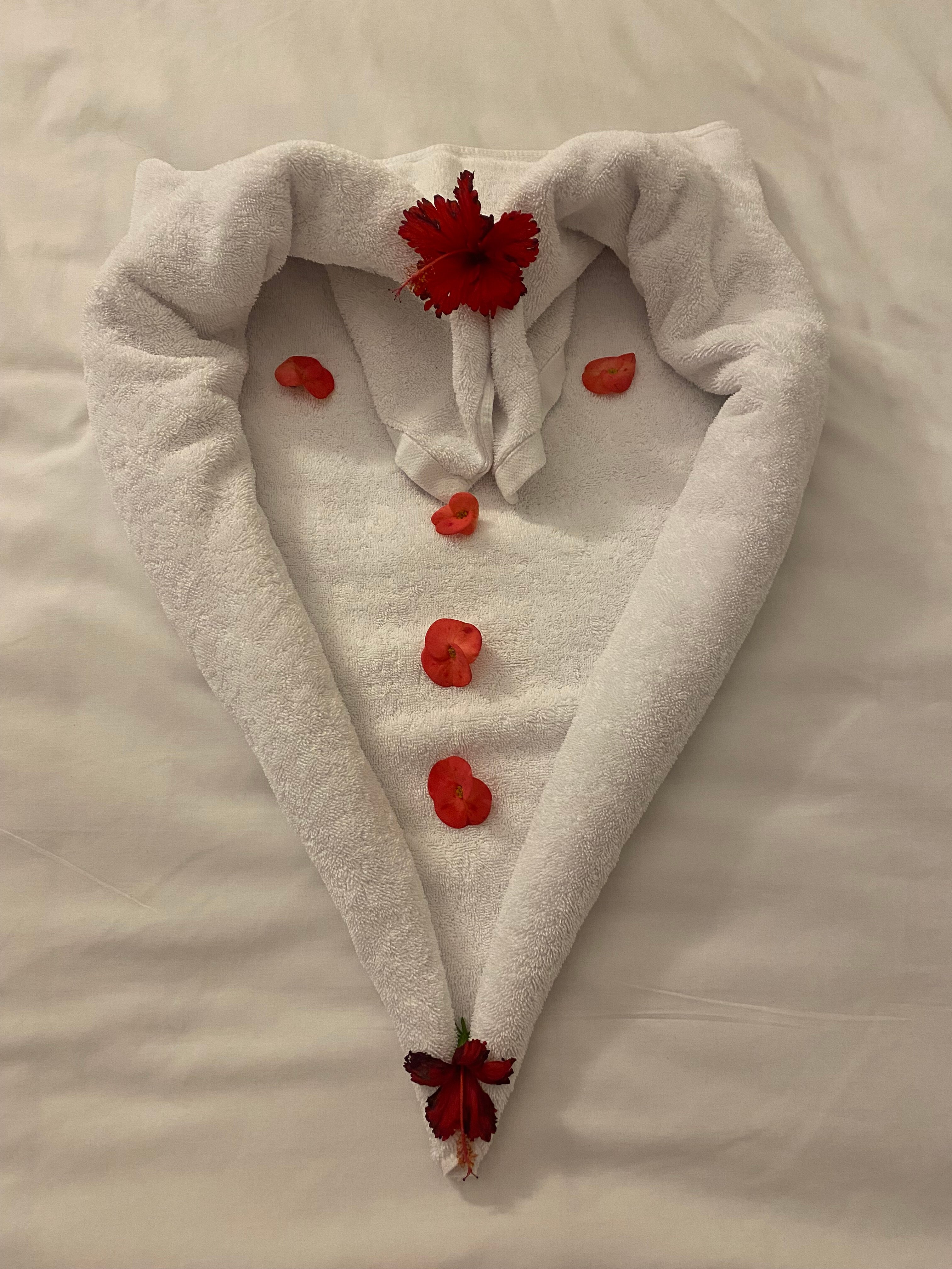 Фото Dreams Vacation