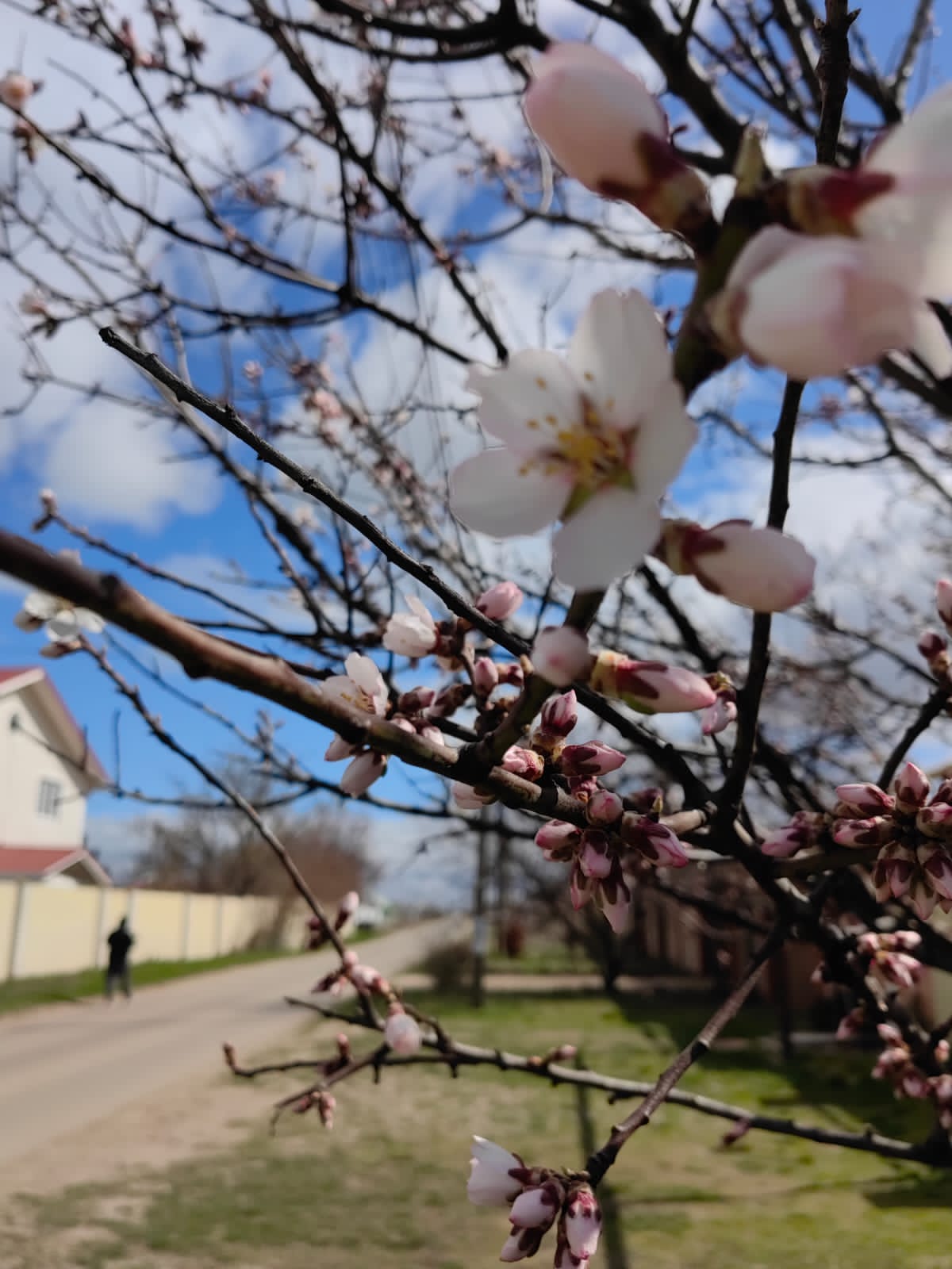 Фото Маленькая страна