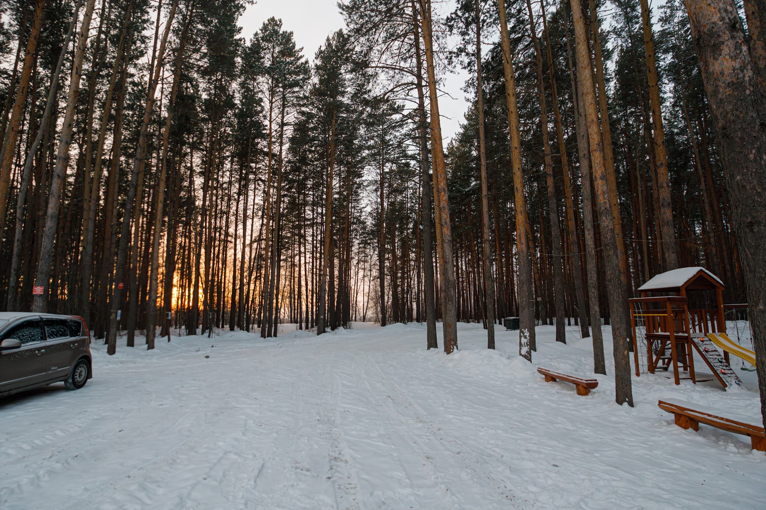 Фото Буревестник