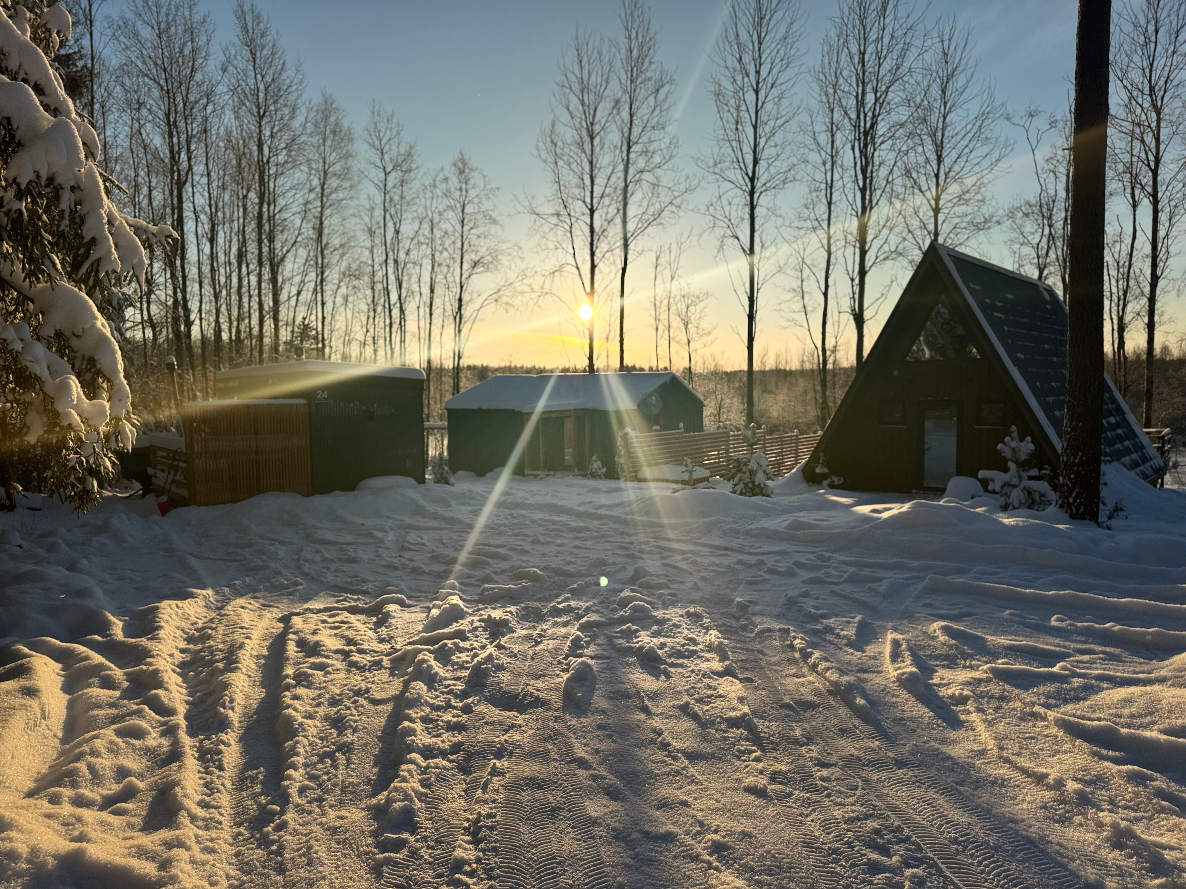 Фото Ёлки Чилл