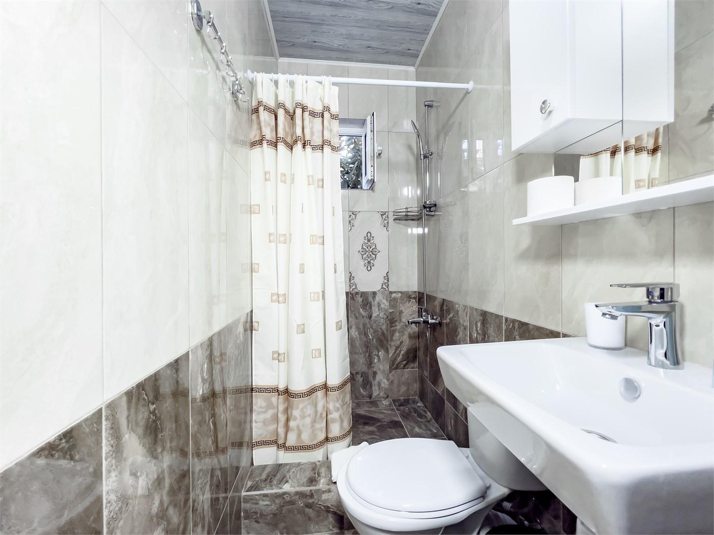 Фото Viva Камелия