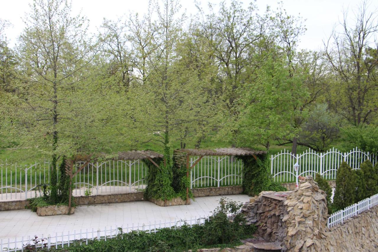 Фото Катамаран