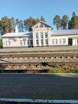 Railway station (Yaroslavl Region, Rybinskiy rayon, posyolok Tikhmenevo), railway station