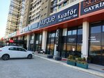 Marque Hairdresser (Ankara Province, Cankaya District, Alacaatli Neighborhood, 3341st Street, 1/7A) ، مصففو الشعر
