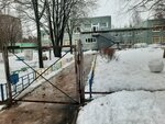 Kindergarten No. 71 Zolotaya Rybka (Pitkyarantskaya ulitsa, 20) ، مركز الرعاية النهارية، رياض الأطفال