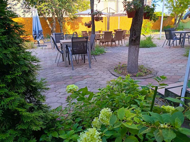 Фото Магнолия