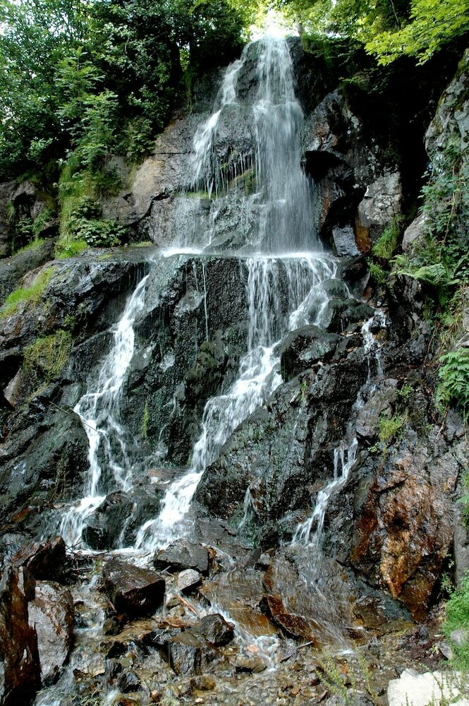 Фото Hotel des Vosges