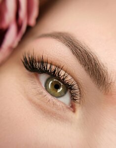 BeautyBar WowWow (posyolok Mshinskaya, Leningradskoye shosse, 86А), eyebrow and eyelash salon