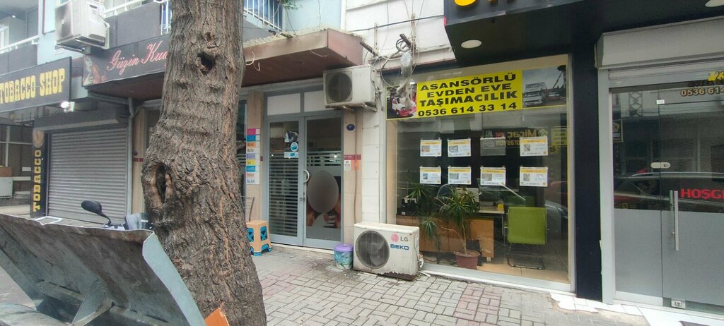 Real estate agency Satel Emlak, Izmir, photo