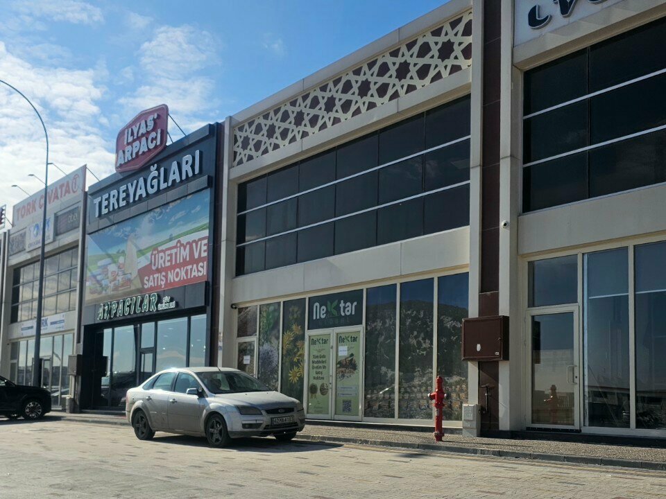 Management company Nectar, Konya, photo