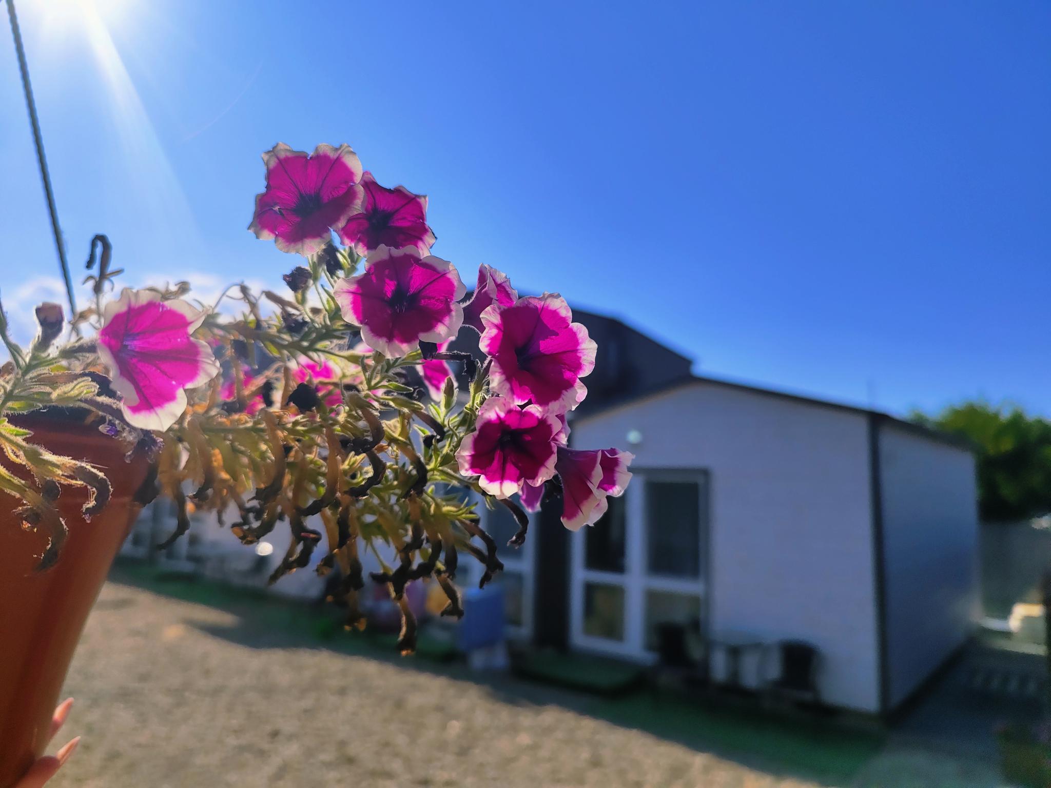 Фото Талисман Хаус