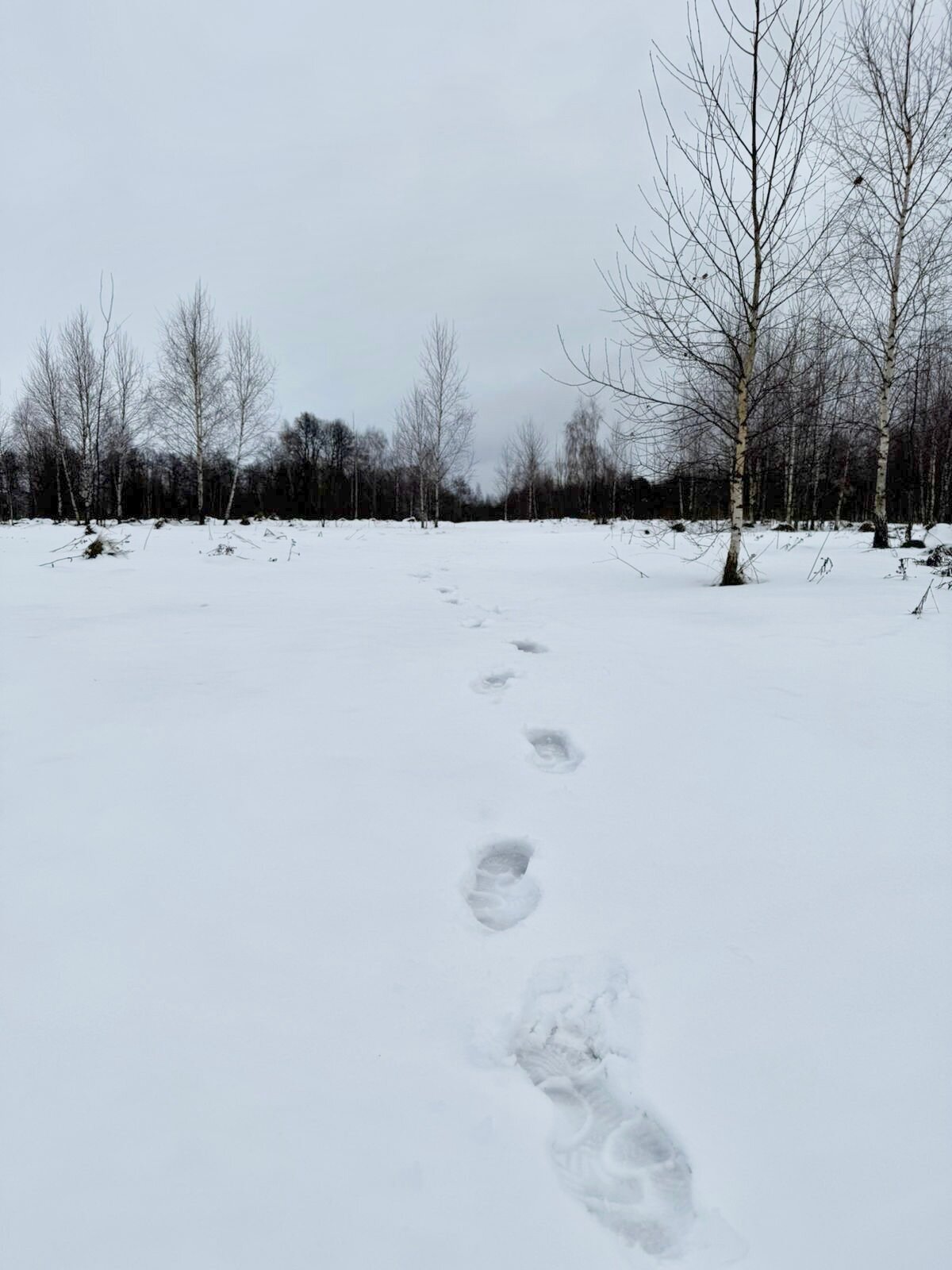 Фото House Sup Ruza