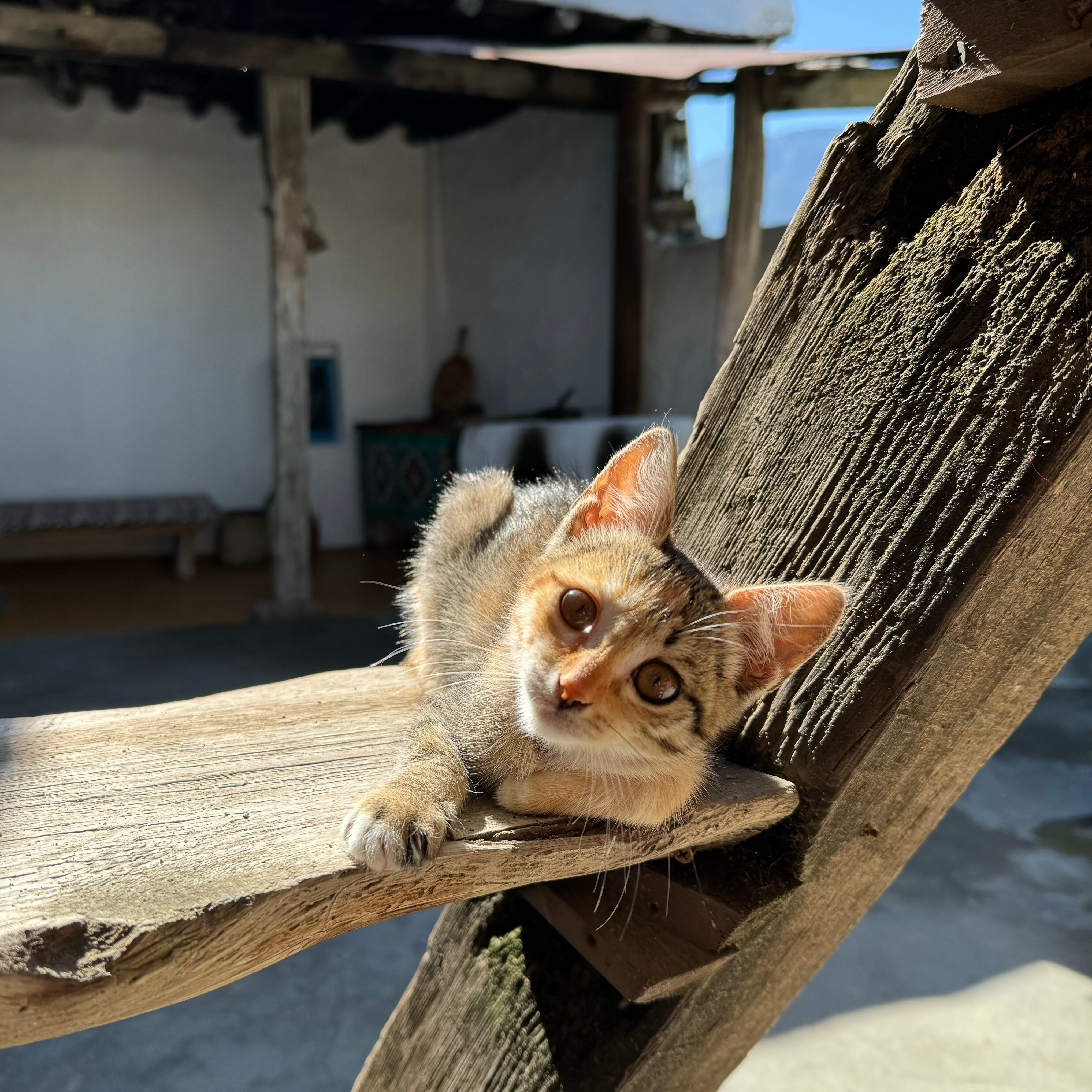 Фото МириДа