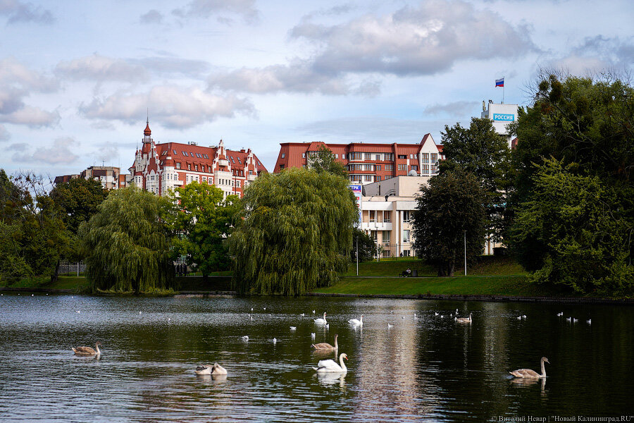 Фото Mi Home. Росгартен