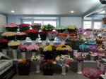 Королевская роза (Dikopol'tseva Street, 70), flower shop