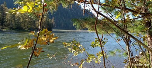 Внешний вид отеля Объятия Бии в Артыбашском сельском поселении, фото 5