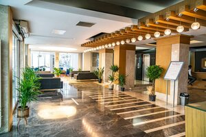 Гостиница Halley Hotel