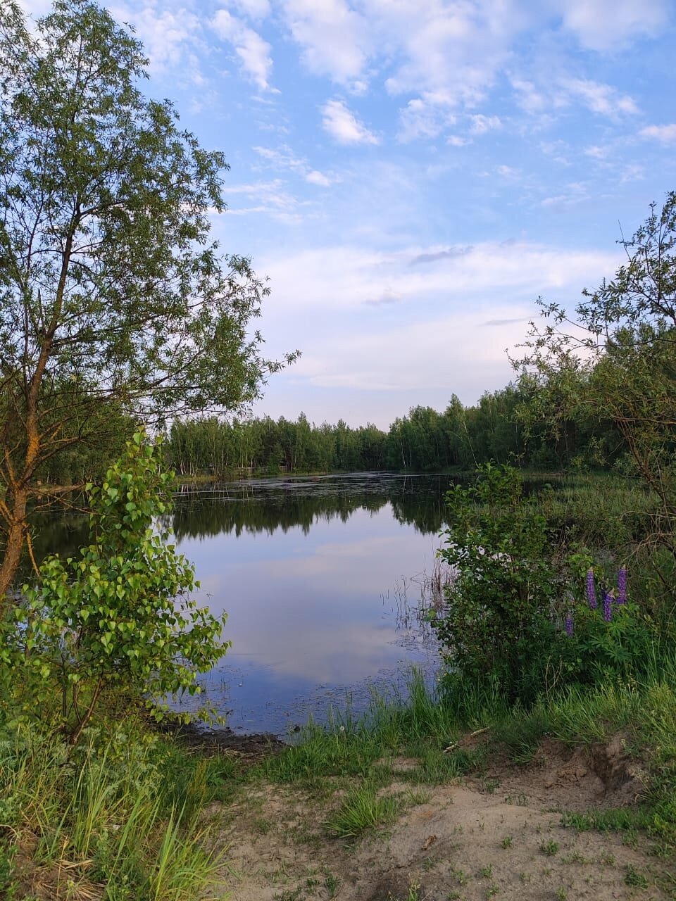 Фото Loft. dacha