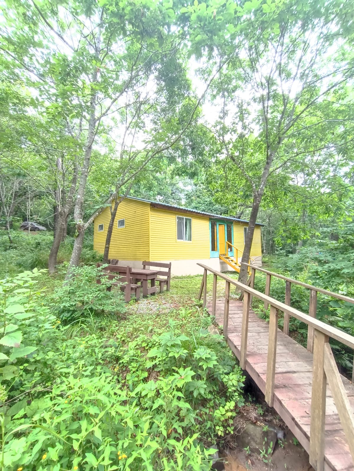 Фото Камень Льва