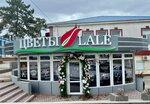 Lale Flowers (Бахчисарай, улица Фрунзе, 43А), flower shop