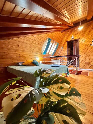 Иное жильё Дельфин в Адлере