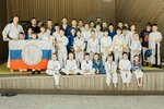 The Alexander Nevsky Judo Club (sanatoriy Zvenigorod, 5Ак1), sports club