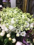 Цветник (Udaltsova Street, 85к5), flower shop