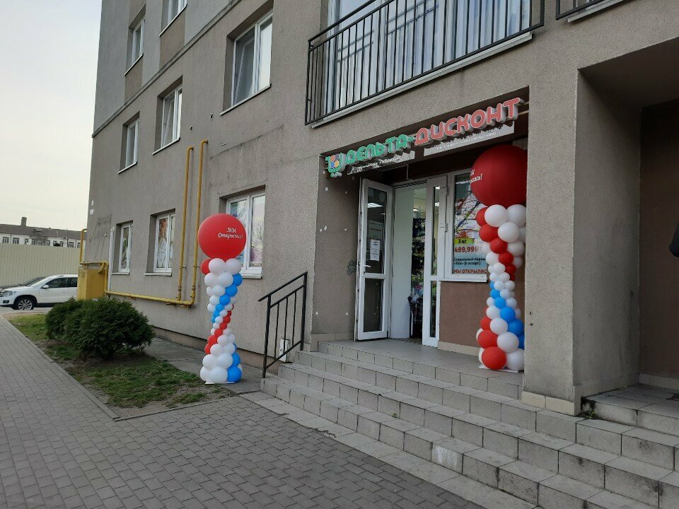 Household goods and chemicals shop Дельта дисконт, Kaliningrad, photo