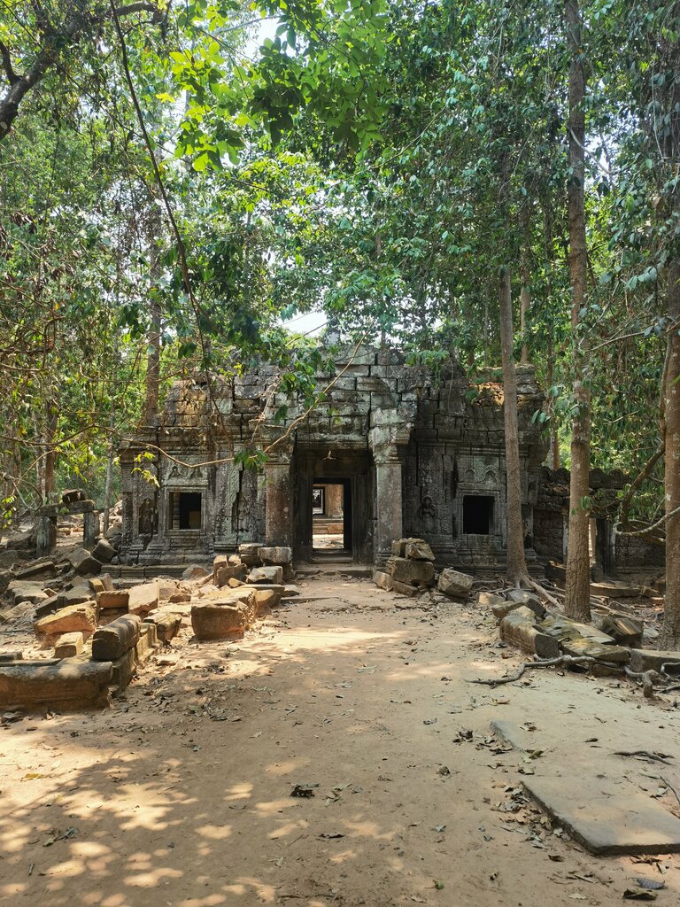 Landmark, attraction Восточный Мебон, Earth, photo