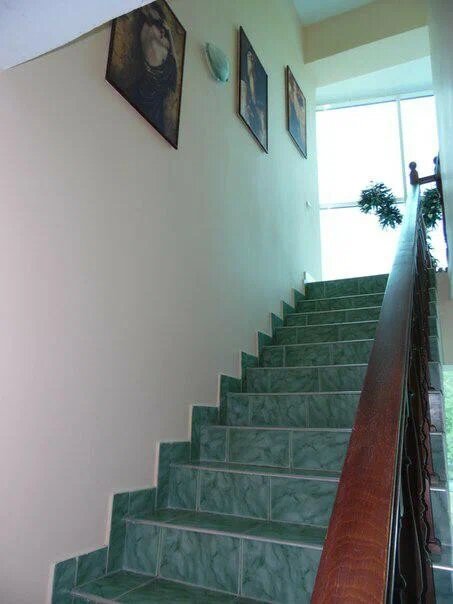 Фото Инал