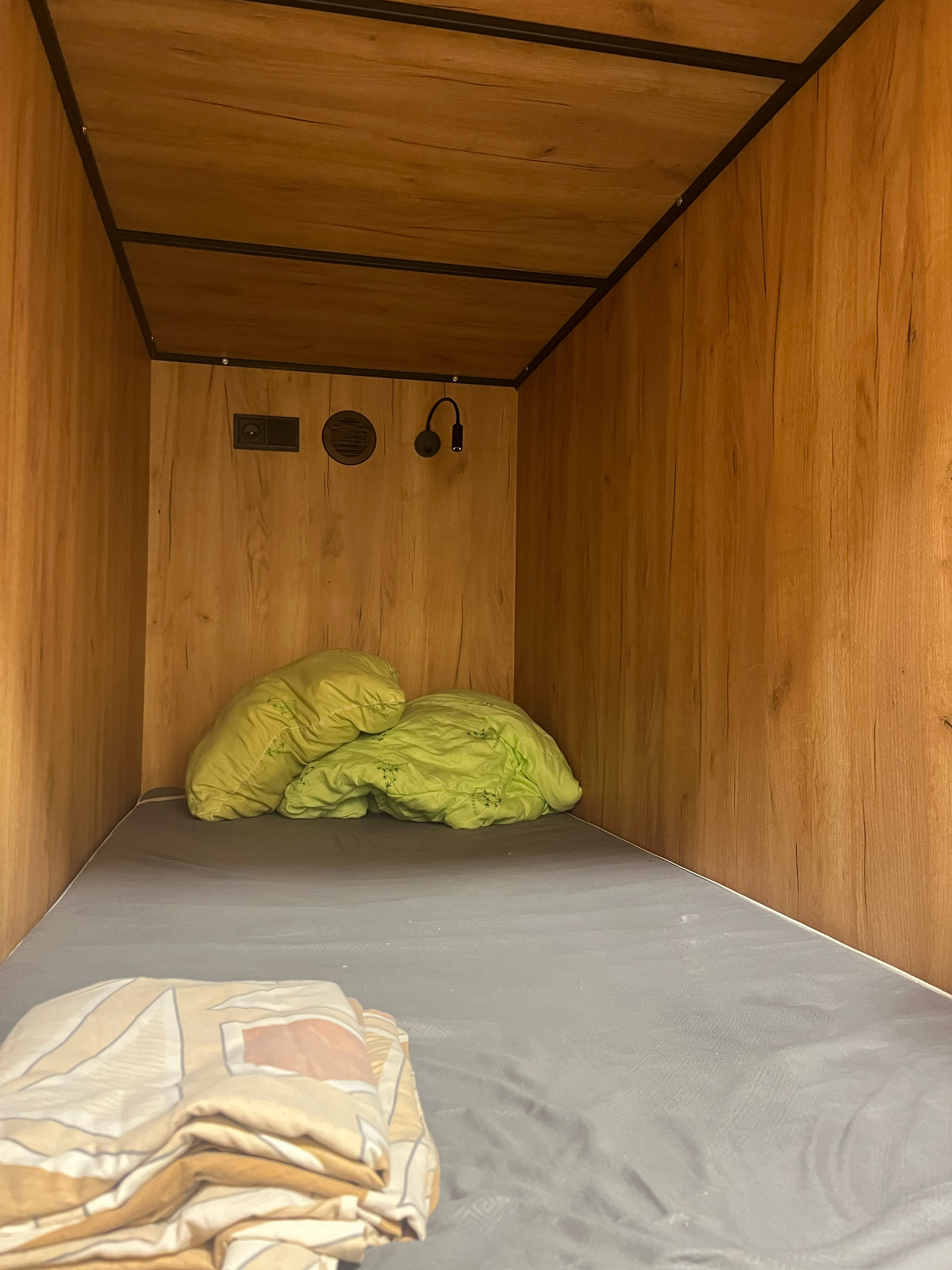 Фото Вежливый лось