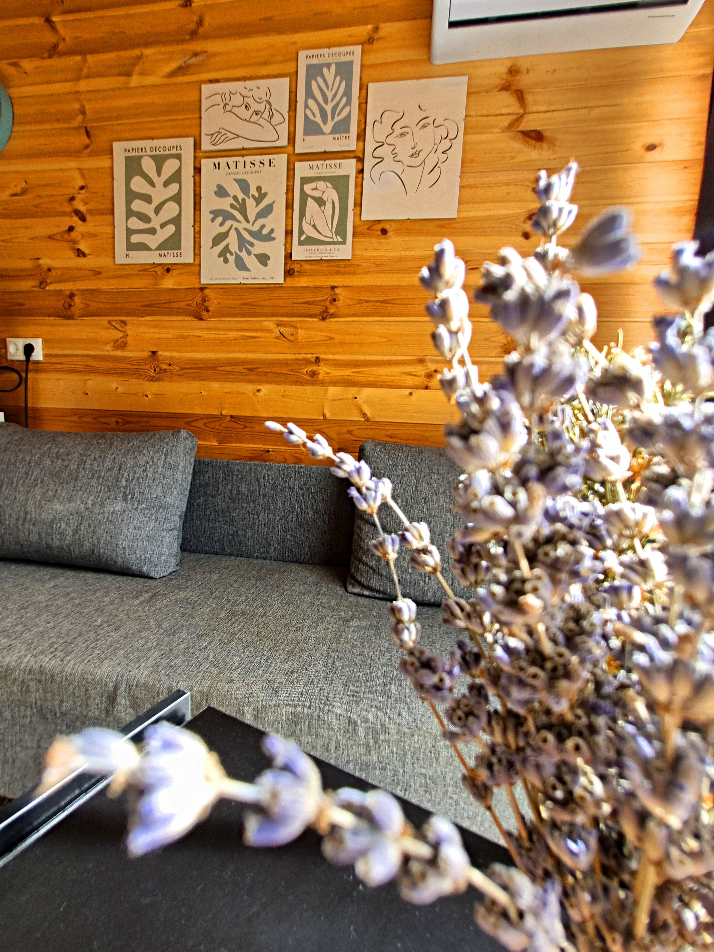 Фото Под звёздами