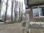Цветы (Voronezh, Geroev Sibiryakov street, 65) ، flowers and bouquets delivery