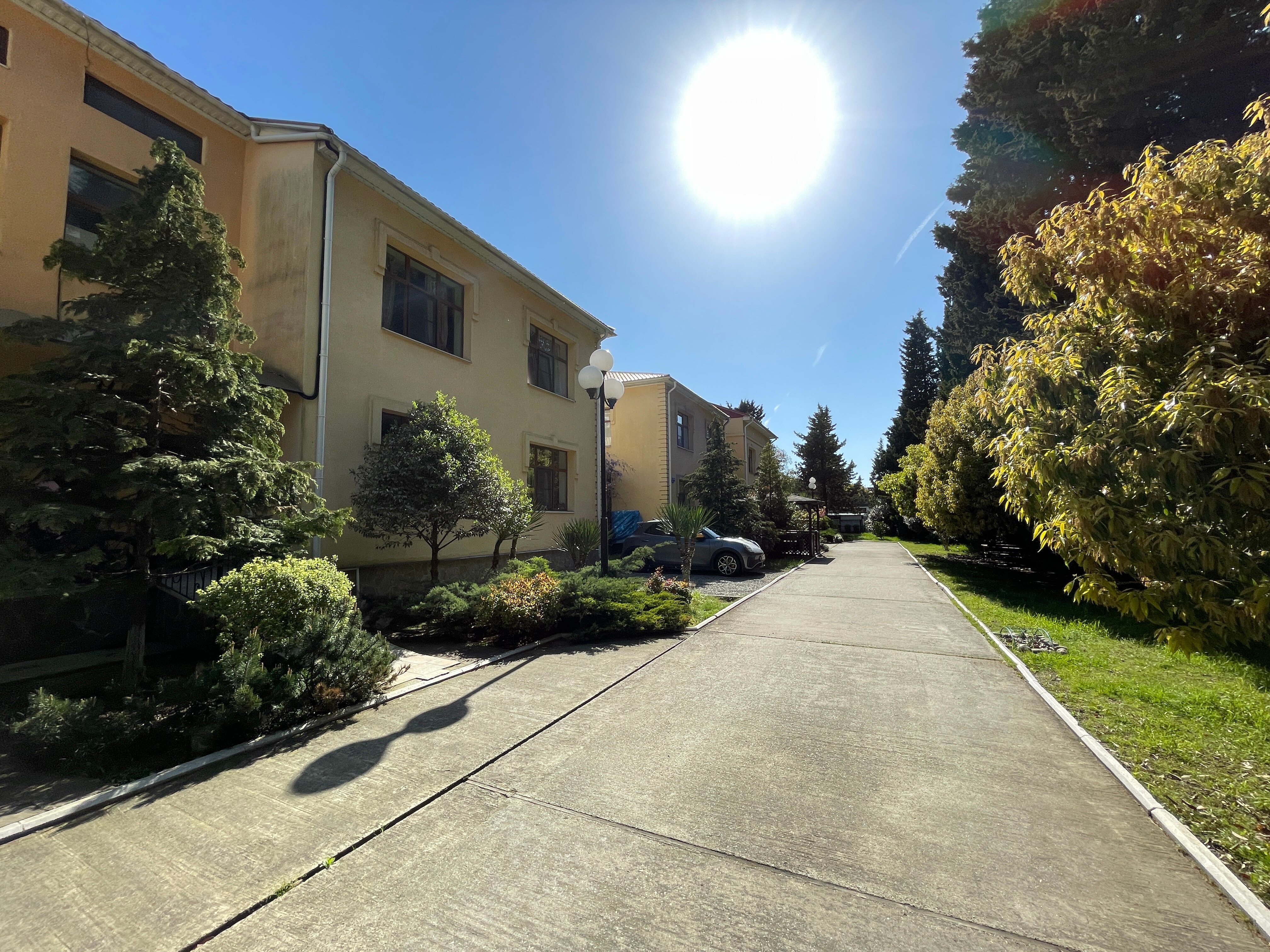 Фото Орхидея Парк