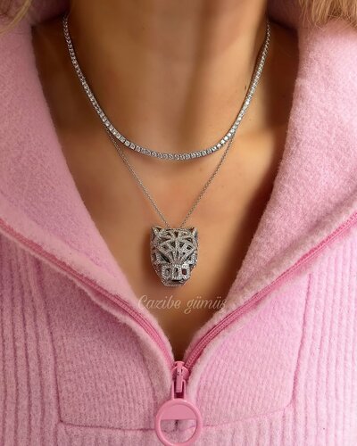 Cazibe gümüş Fotoğraf 2