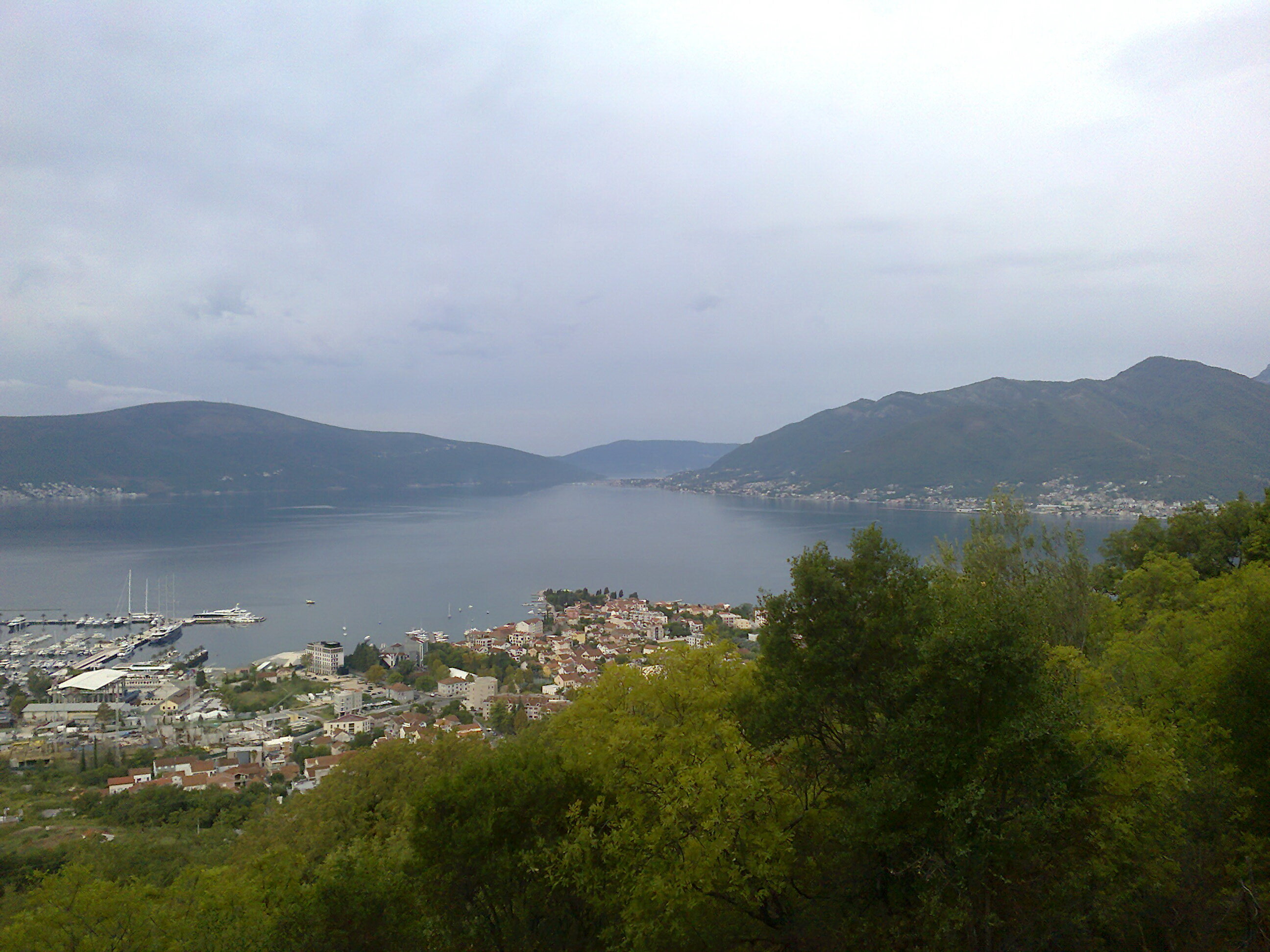 Фото D&D Apartments Tivat