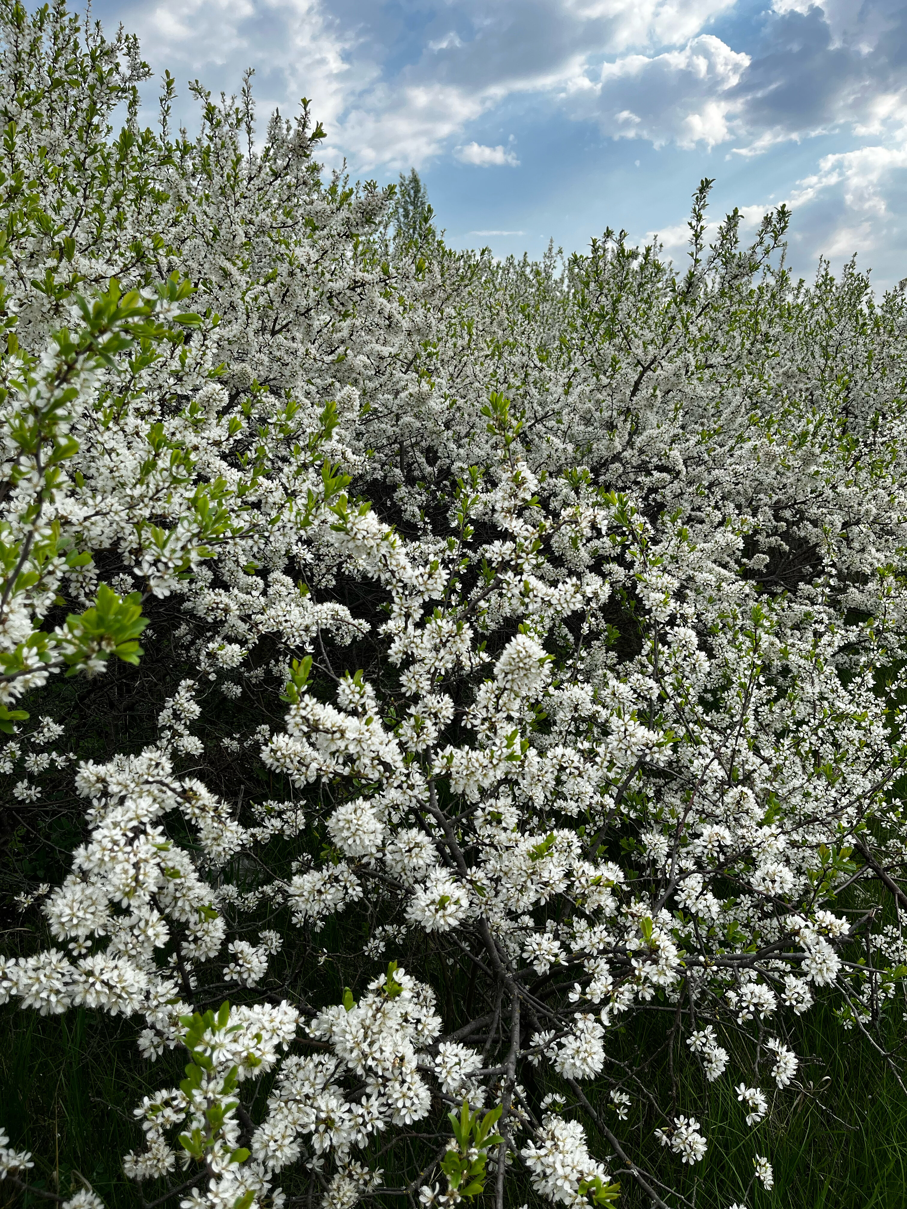 Фото Гостиница Галкино