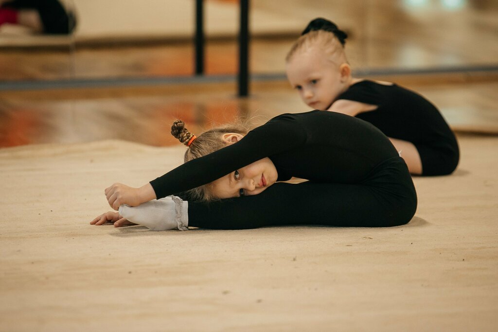 Club deportivo, sección Rhythmic Gymnastics Center Lokomotiv, , foto