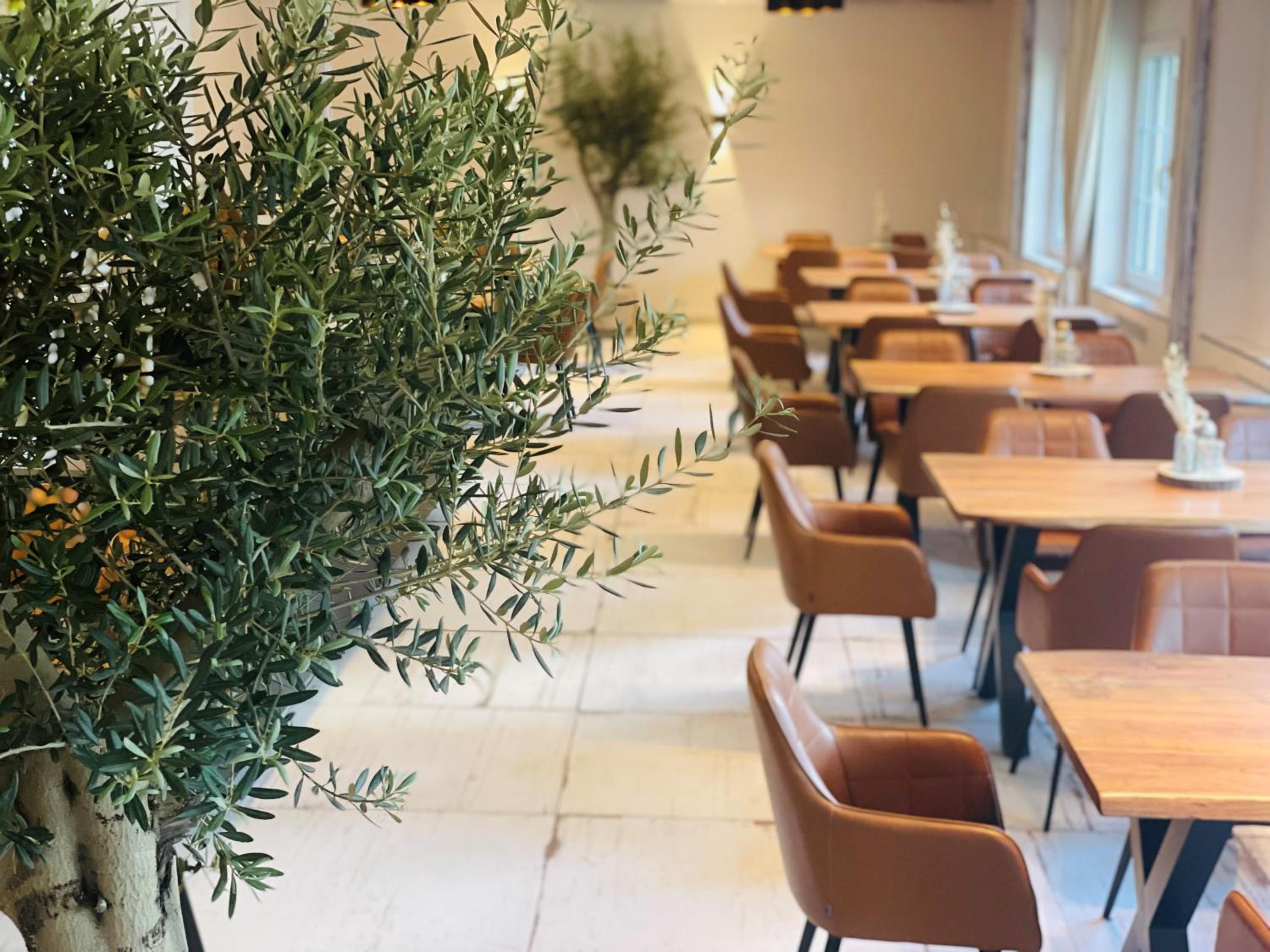 Фото Spree-Waldhotel Cottbus