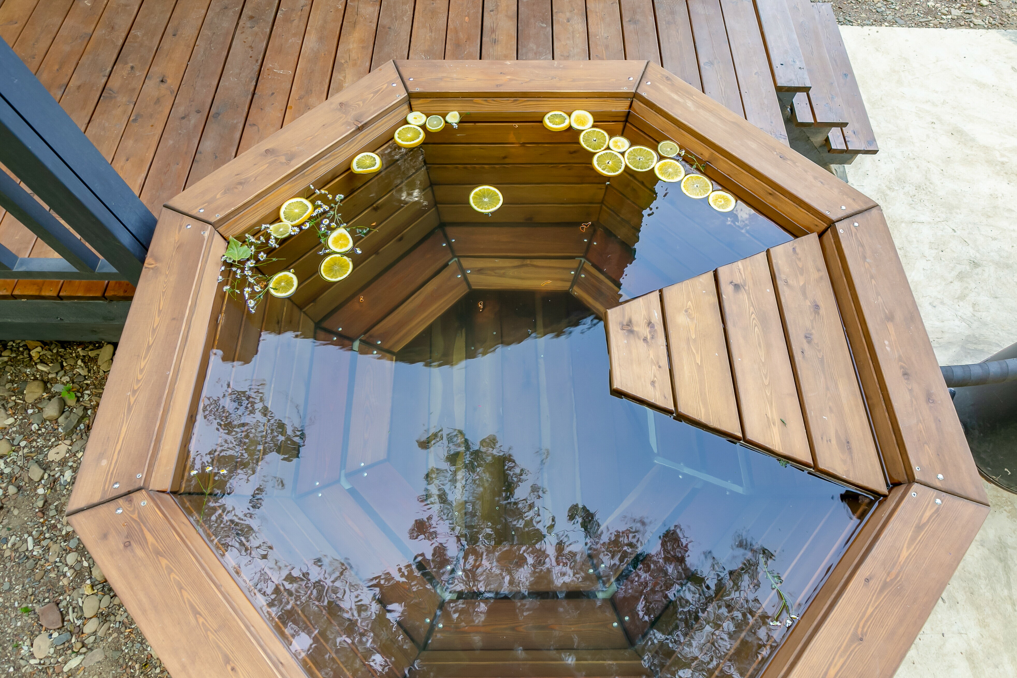 Фото Шелест