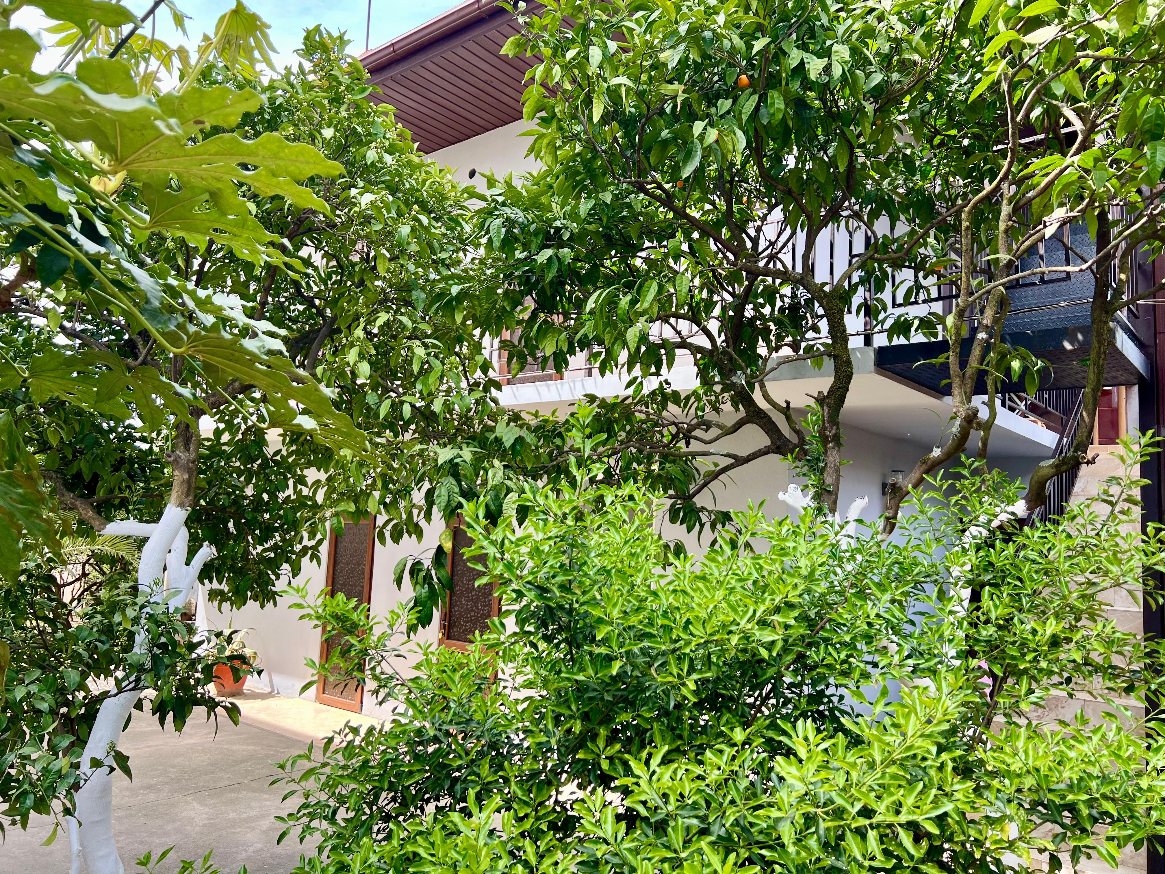 Фото Стрелец