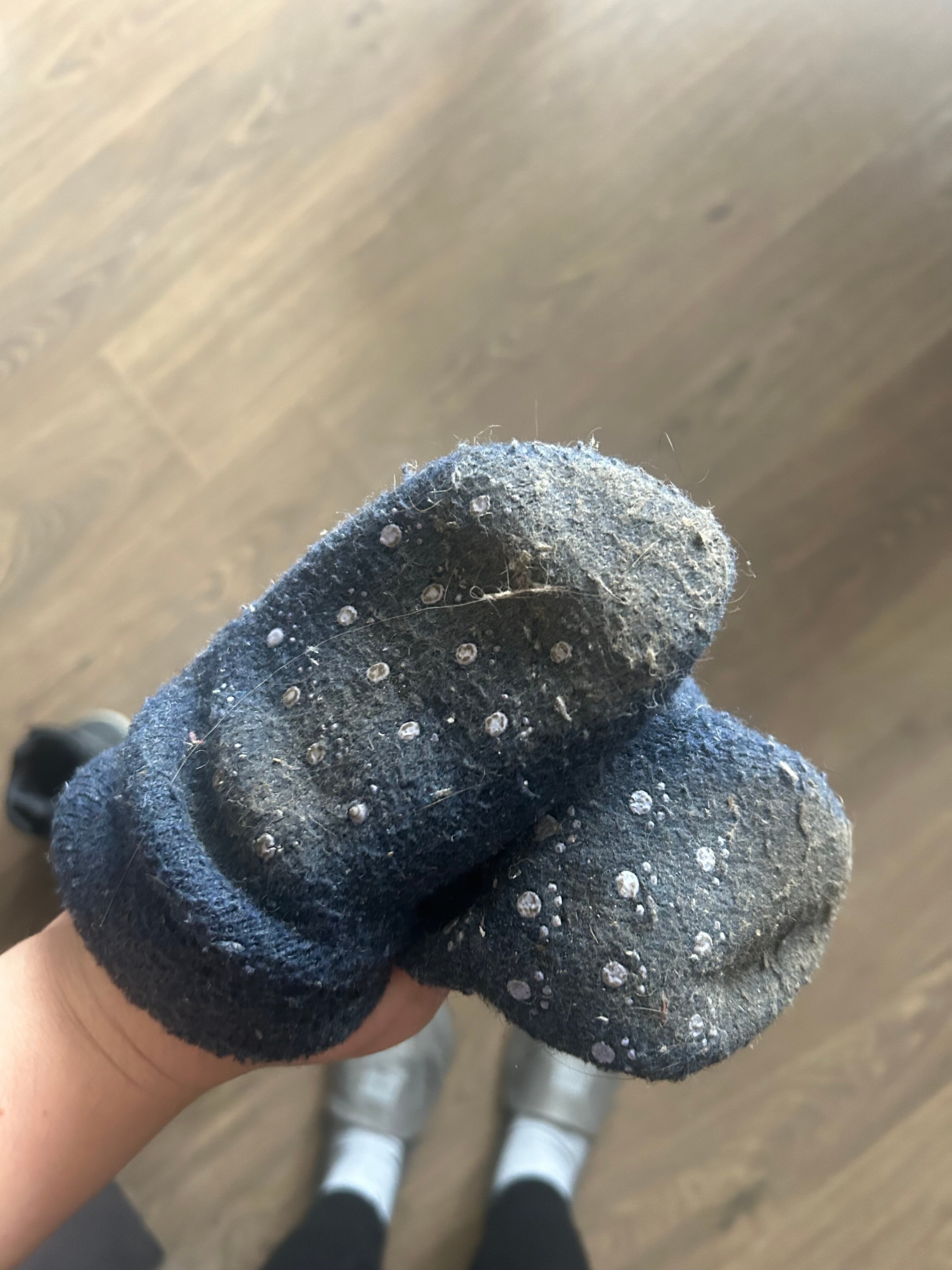 Фото Васко Да Гама