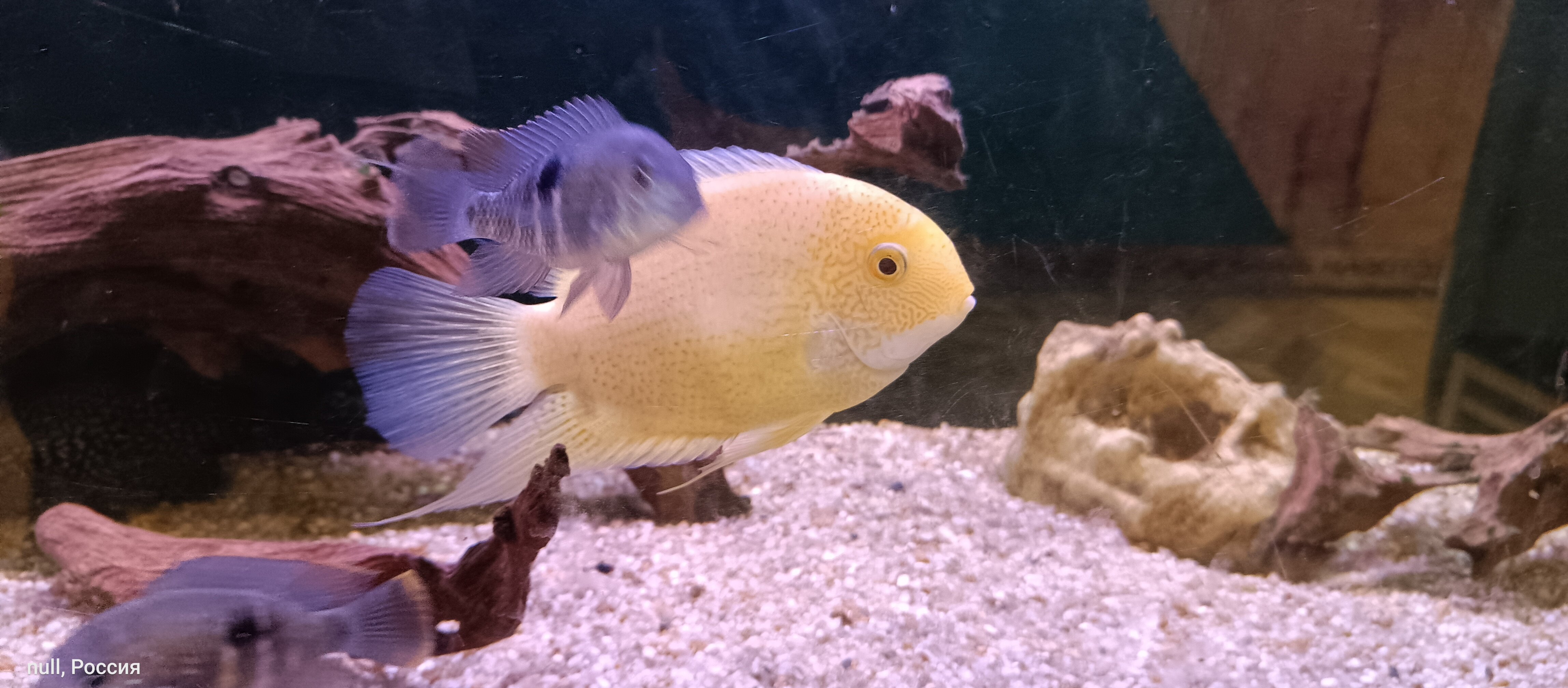 Фото Карелия