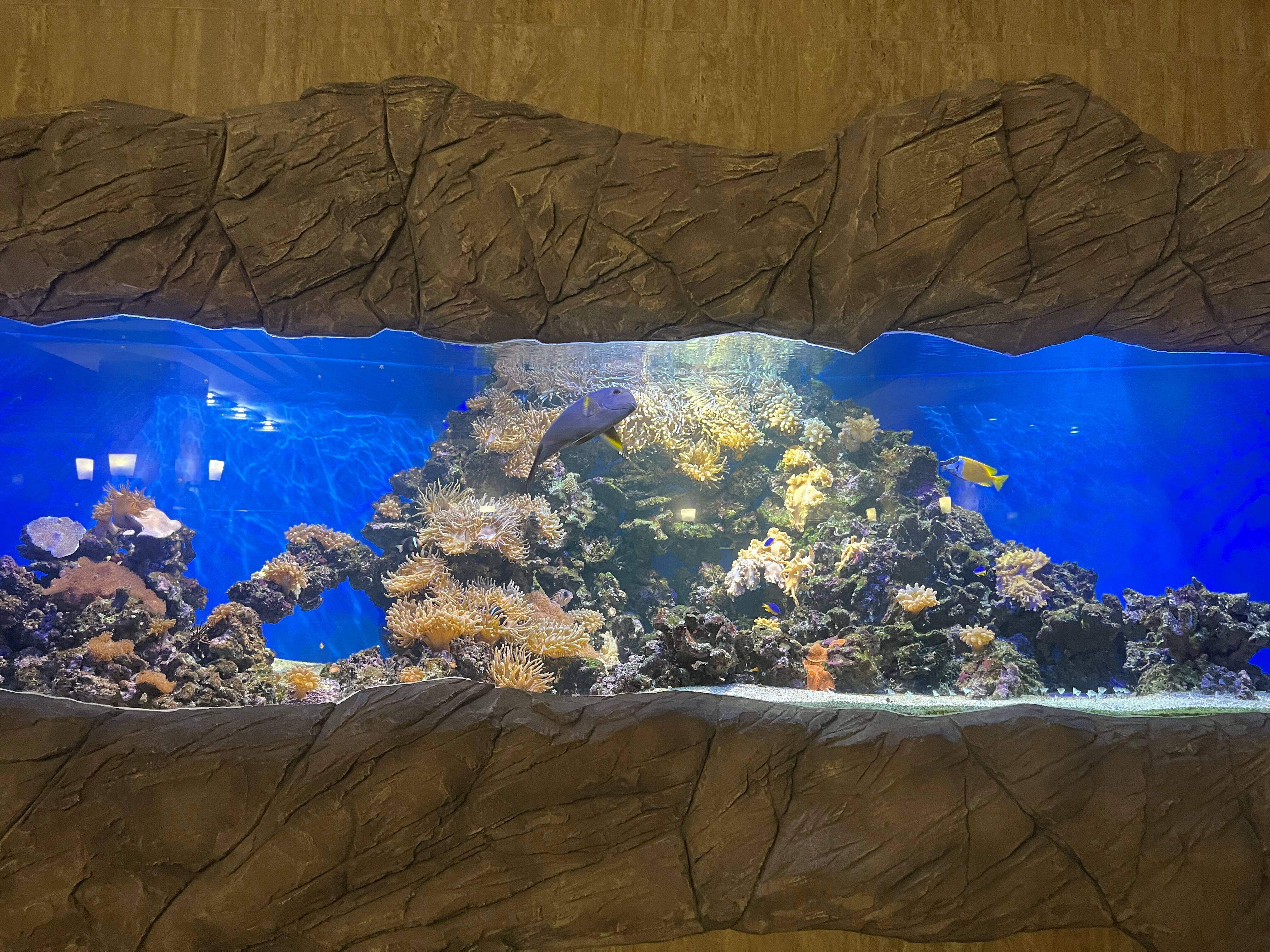 Фото Держава