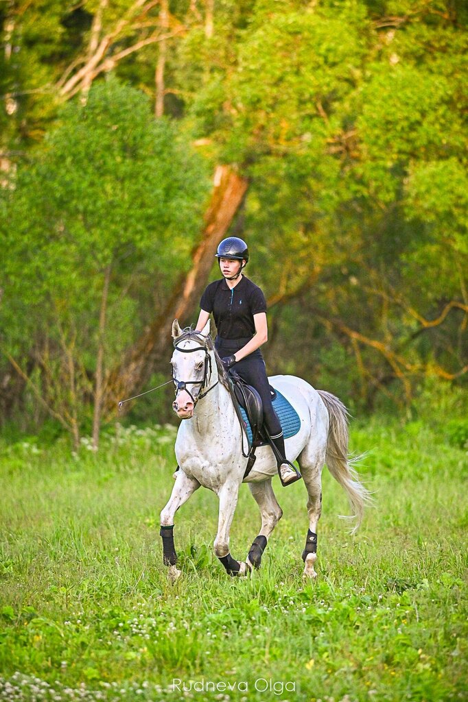 Horse riding Ksk, Moscow and Moscow Oblast, photo